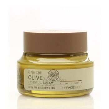 Olive Essential Cream Увлажняющий крем для лица