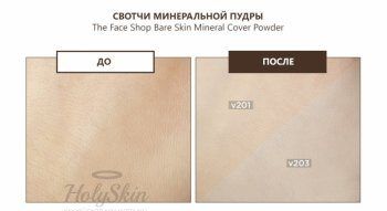 Mineral Cover Powder The Face Shop