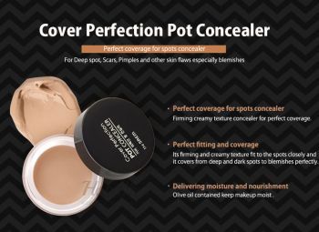 Cover Perfection Pot Concealer The Saem