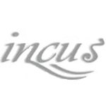 Incus
