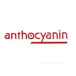 Anthocyanin