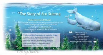Eco Science Cream Innisfree купить