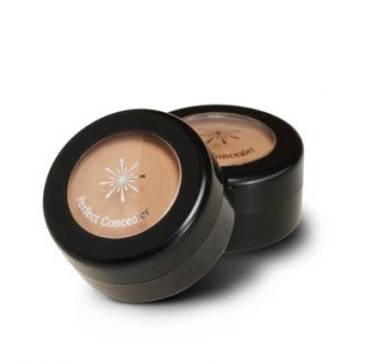The Style Perfect Concealer отзывы