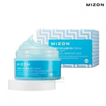 Water Volume Ex Cream Mizon