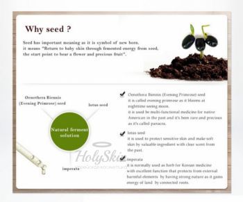 Natural Seed Bal-Hyo Ampoule Mizon отзывы