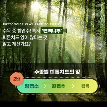 Phytoncide Clay Pack To Foam Очищающая маска-пенка для лица