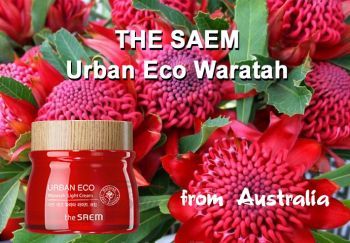 Urban Eco Waratah Light Cream The Saem купить