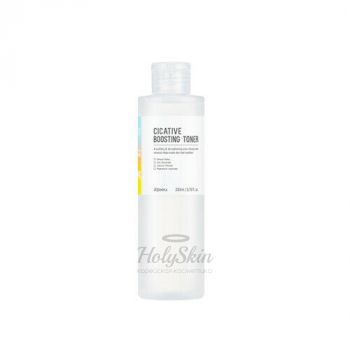 Cicative Boosting Toner Балансирующий восстанавливающий тонер