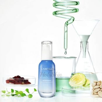 Water Bank Moisture Essence Увлажняющая эссенция для лица