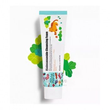Madecassoside Cleansing Foam Autistar купить