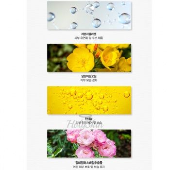 Derma Plan Enriched Balm Cream The Saem отзывы