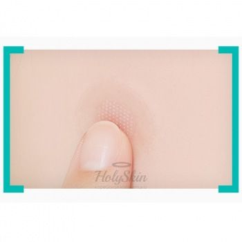 Madecassoside Needle Spot Patch A'Pieu