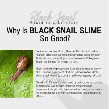 Pocket Black Snail All In One Cream Крем для лица с муцином черной улитки