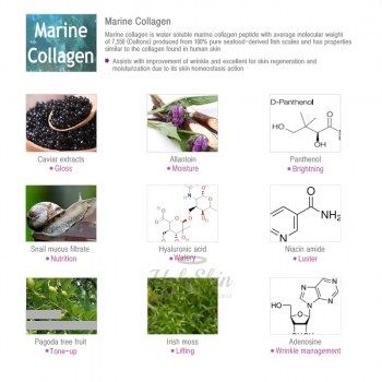 Collagen Eye Gel Patch Mizon отзывы