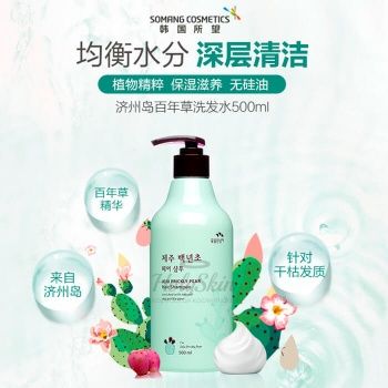 Jeju Prickly Pear Hair Shampoo Шампунь для волос с экстрактом опунции
