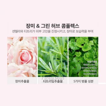 Tea Tree Rose Calming Mask состав