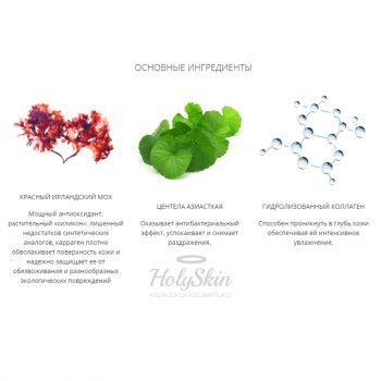 Missha Time Revolution Red Algae Treatment Essence состав