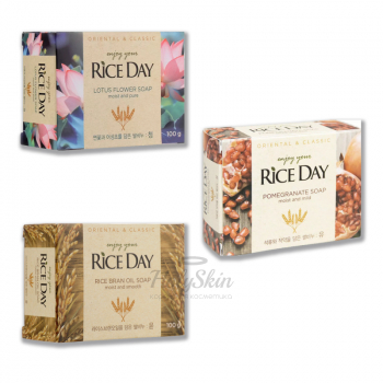 Rice Day Soap LION Thailand