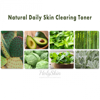 Natural Daily Skin Clearing Toner The Saem купить