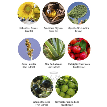 Sunprise Mild Watery Light Etude House состав