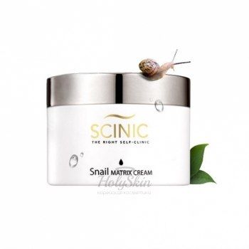 Snail Matrix Cream 120ml Scinic купить