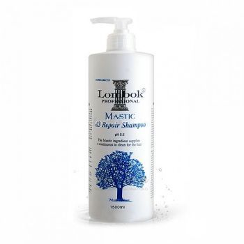 Lombok Mastic A3 Repair Shampoo description