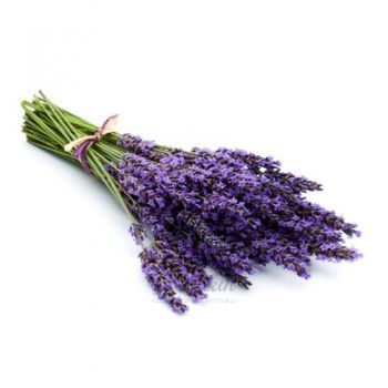 Lavender Softening Magic Soap description